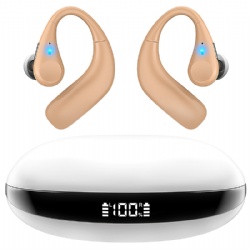 EMAIYOI Digital OTC Hearing Aid for Seniors & Adults with Hearing Loss - Rechargeable BTE Amplifier Smart Noise Cancellation WDRC Voice Processing Multi-Channel Hearing Aid, Skin Color